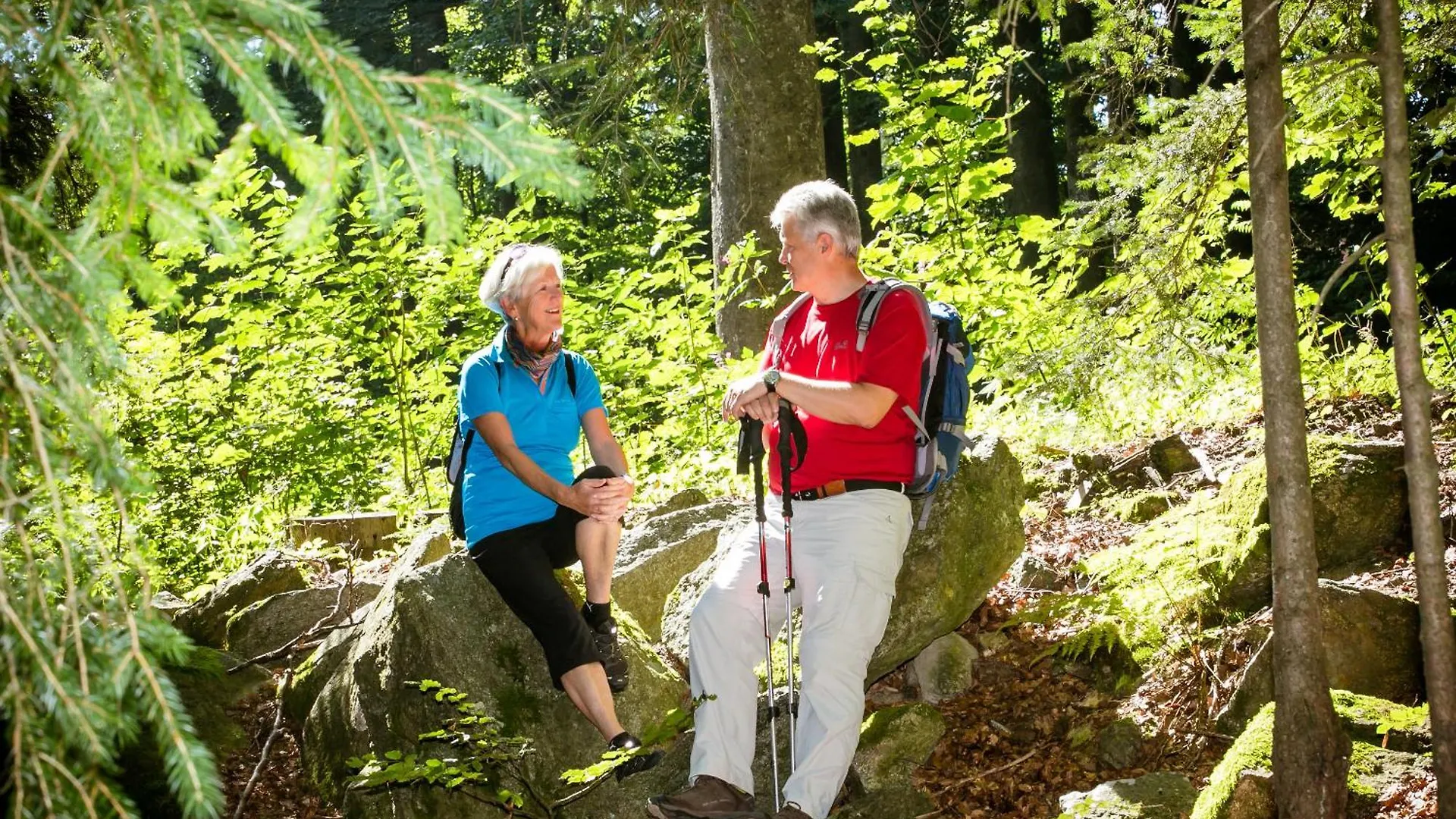 Ferienpark Geyersberg Inklusive Aktivcard Bayerischer Wald Freyung 3*,  Γερμανία